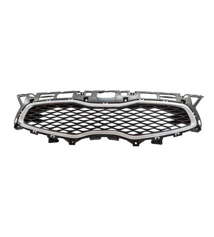 CARENS'2013 GRILLE